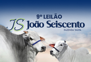 9º LEILÃO JOÃO SEISCENTO